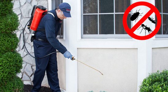 Halfeti Kemirgen İlaçlama böcek ilaçlama ve haşere kontrolü — ilaclama-tr.com